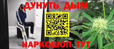 амф Кандалакша