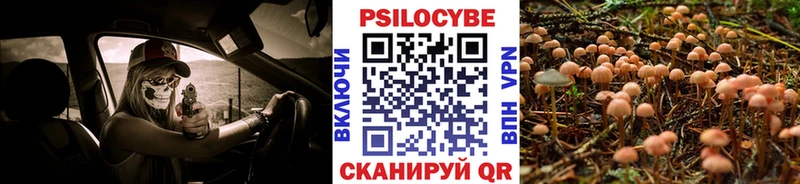 даркнет сайт  Мытищи  Галлюциногенные грибы прущие грибы 
