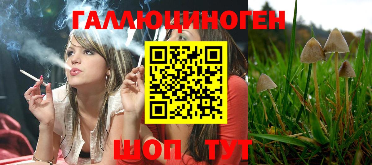 Псилоцибиновые грибы прущие грибы Мытищи